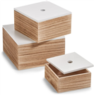 Sada úložných boxů, 3 kusy, dřevo, bílá/přírodní